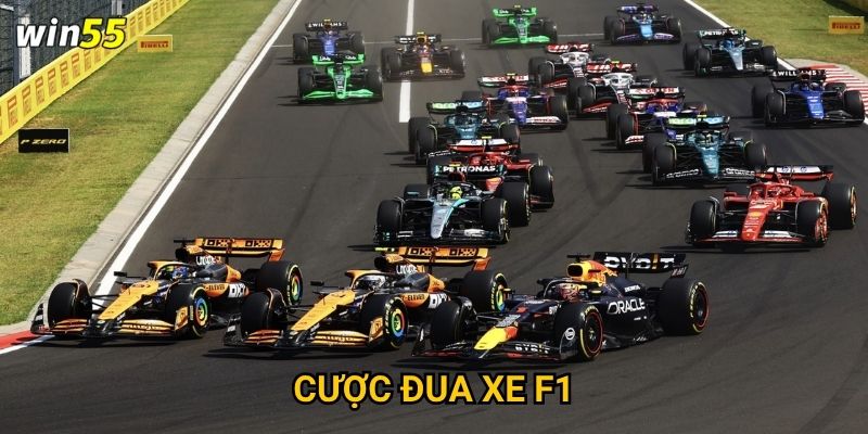 Cường độ cược đua xe F1 Win55 có phù hợp với tốc độ cuộc đua không? 6 Cường độ cược đua xe F1 Win55 có phù hợp với tốc độ cuộc đua không?