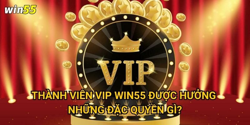 Thành viên VIP Win55 được hưởng những đặc quyền gì?
